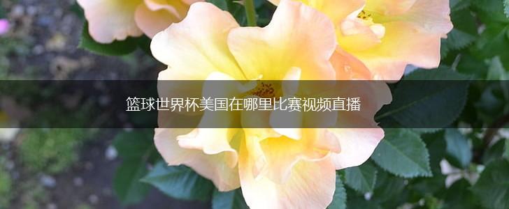 篮球世界杯美国在哪里比赛视频直播,第1张