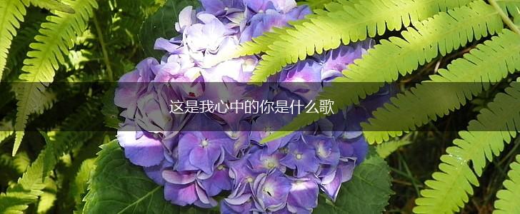 这是我心中的你是什么歌,第1张