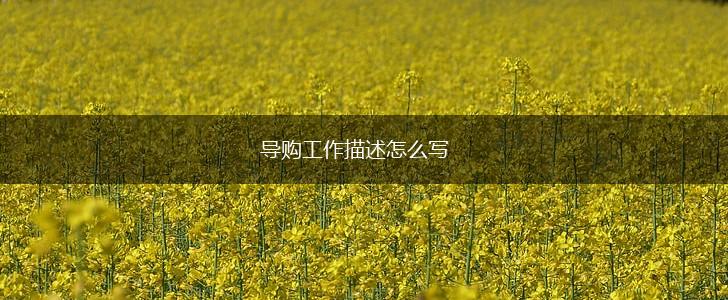 导购工作描述怎么写,第1张