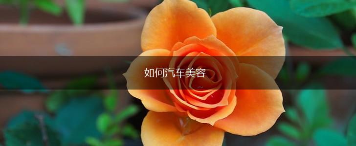 如何汽车美容,第1张