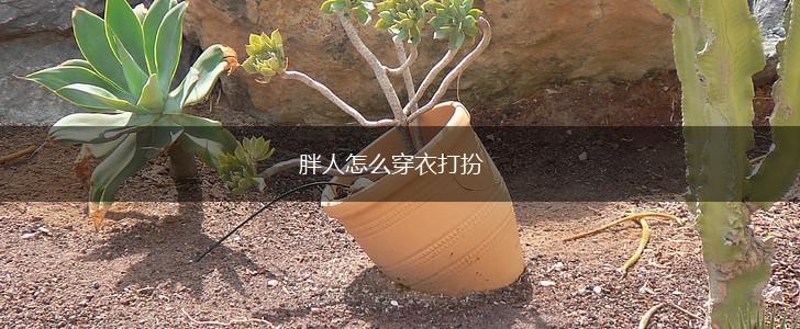 胖人怎么穿衣打扮,第1张
