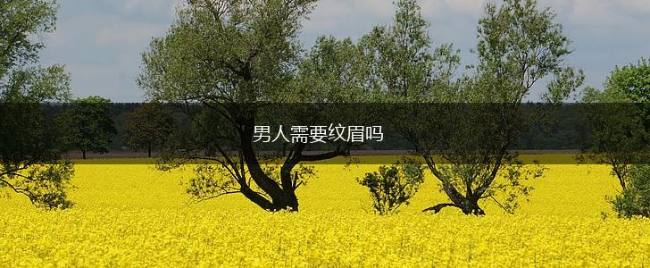 男人需要纹眉吗,第1张
