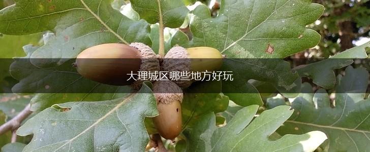 大理城区哪些地方好玩,第1张