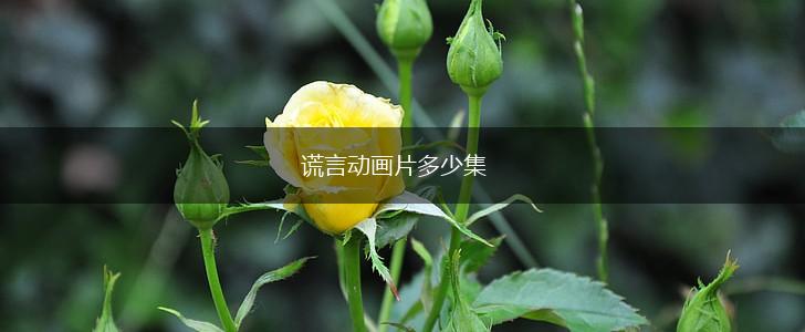 谎言动画片多少集,第1张