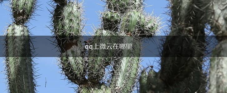 qq上微云在哪里,第1张