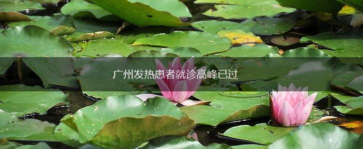 广州发热患者就诊高峰已过,第1张