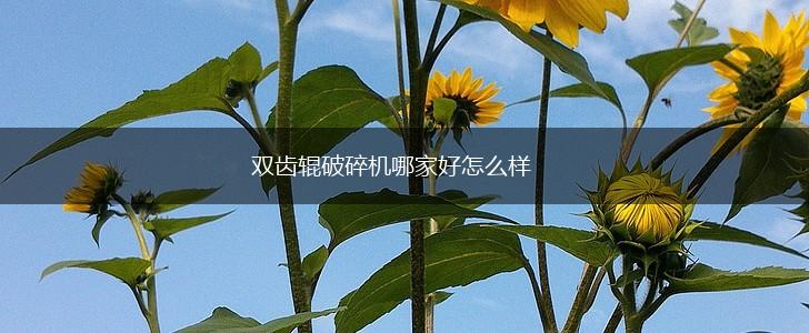 双齿辊破碎机哪家好怎么样,第1张