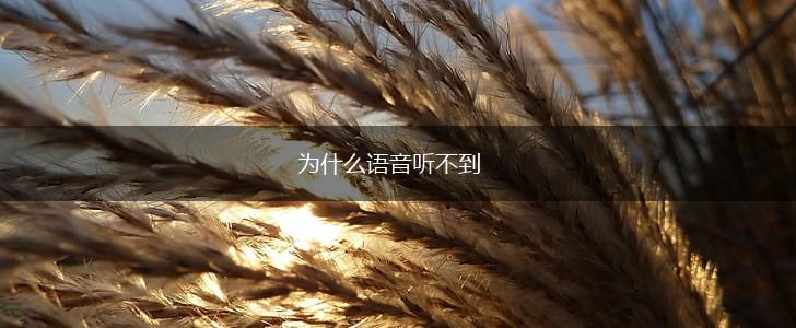 为什么语音听不到,第1张