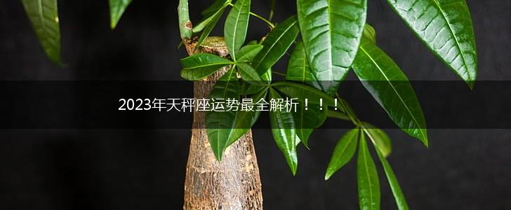2023年天秤座运势最全解析!!!,第1张 2023年天秤座运势最全解析!!!,第1张