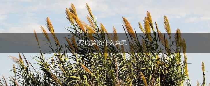 买房验资什么意思,第1张