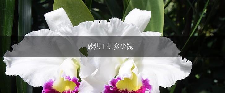 砂烘干机多少钱,第1张