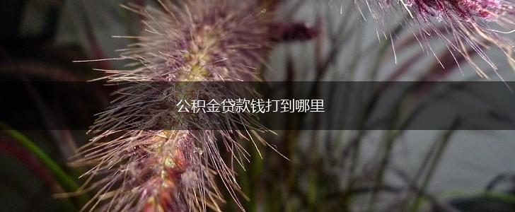 公积金贷款钱打到哪里,第1张
