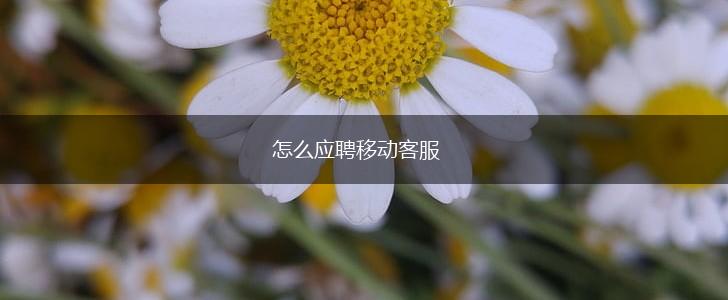 怎么应聘移动客服,第1张