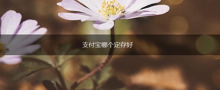 支付宝哪个定存好,第1张