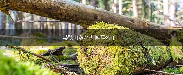 马鞍山双益机械怎么样,第1张