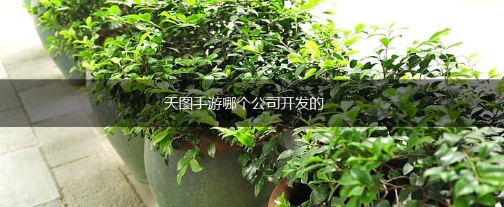 天图手游哪个公司开发的,第1张