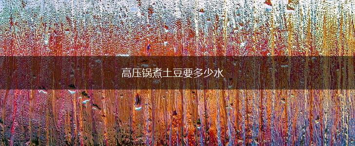 高压锅煮土豆要多少水,第1张