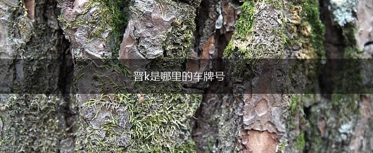 晋k是哪里的车牌号,第1张