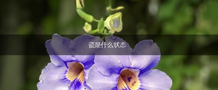 瓷是什么状态,第1张