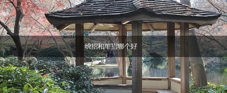 统招和单招哪个好,第1张