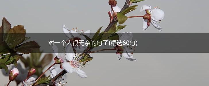对一个人很无奈的句子(精选60句),第1张
