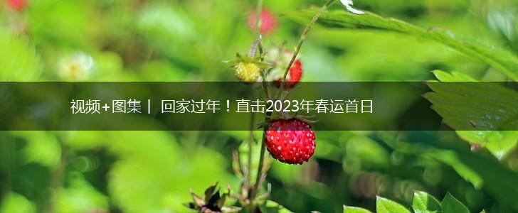 视频+图集丨 回家过年！直击2023年春运首日,第1张
