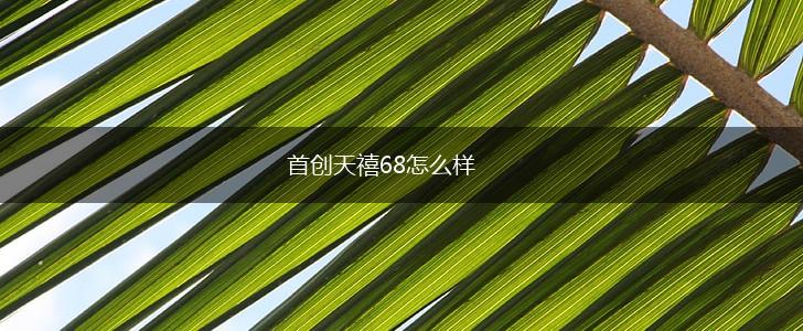 首创天禧68怎么样,第1张