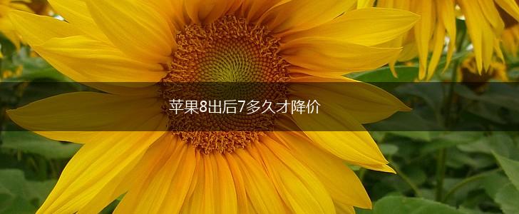 苹果8出后7多久才降价,第1张