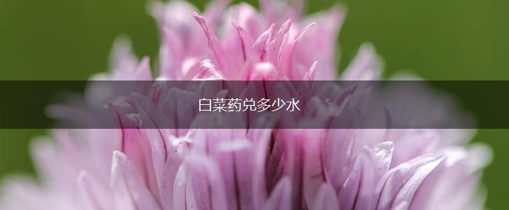 白菜药兑多少水,第1张