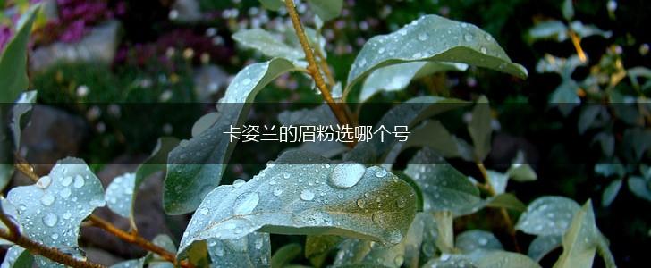 卡姿兰的眉粉选哪个号,第1张