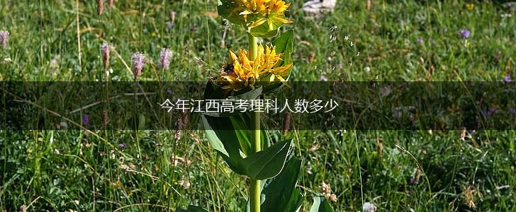 今年江西高考理科人数多少,第1张