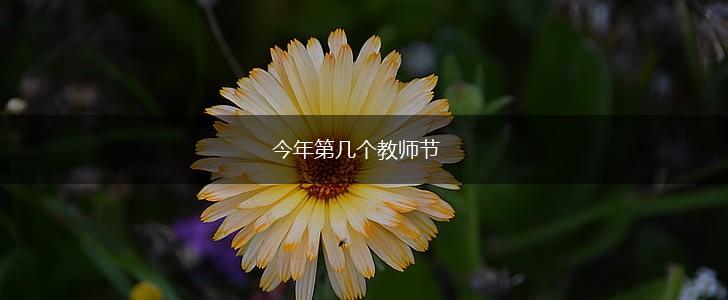 今年第几个教师节,第1张