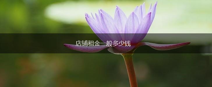 店铺租金一般多少钱,第1张