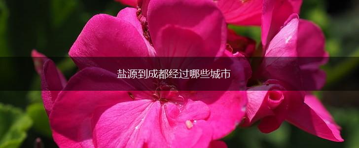 盐源到成都经过哪些城市,第1张
