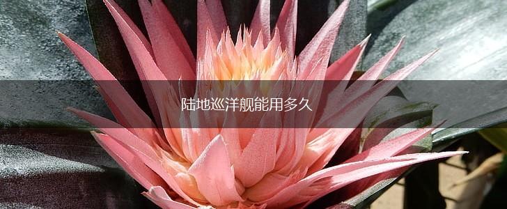 陆地巡洋舰能用多久,第1张