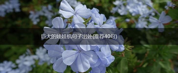 巨大的娃娃机句子出处(推荐40句),第1张
