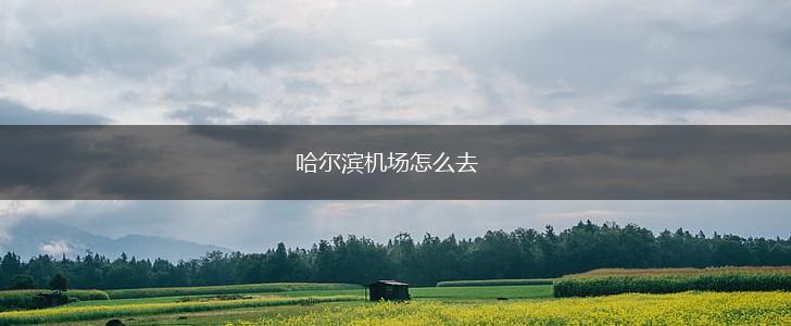 哈尔滨机场怎么去,第1张