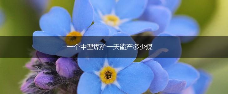 一个中型煤矿一天能产多少煤,第1张