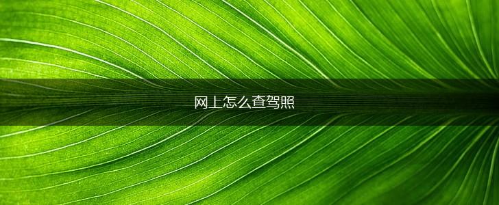 网上怎么查驾照,第1张
