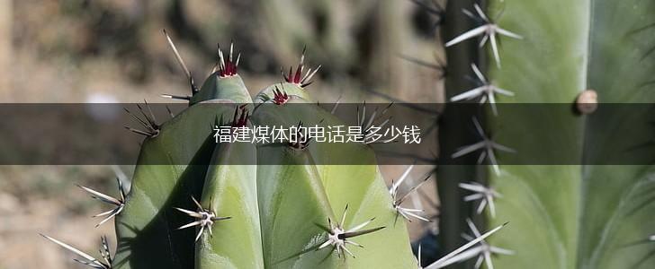 福建煤体的电话是多少钱,第1张