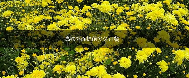 高铁外面提前多久订餐,第1张