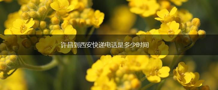 许昌到西安快递电话是多少时间,第1张
