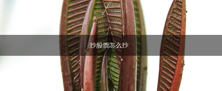 抄股票怎么抄,第1张