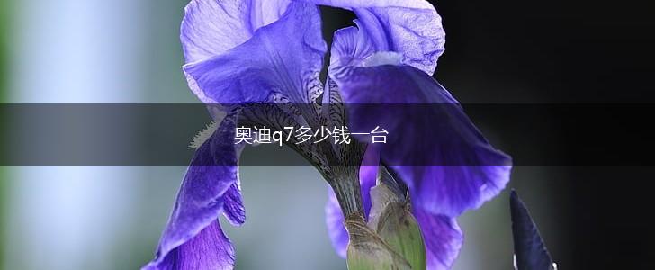 奥迪q7多少钱一台,第1张