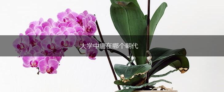 大学中庸在哪个朝代,第1张