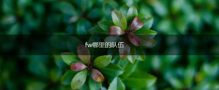 fw哪里的队伍,第1张