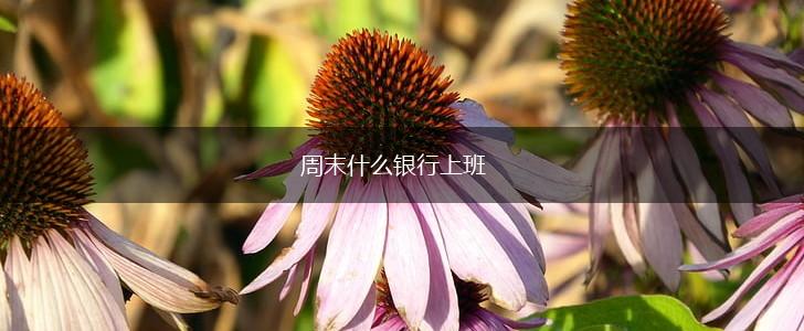 周末什么银行上班,第1张