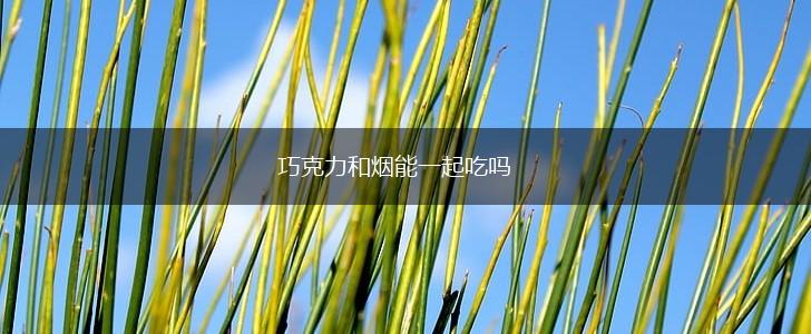 巧克力和烟能一起吃吗,第1张