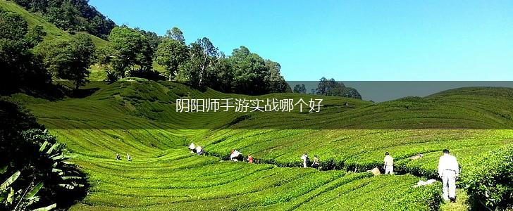 阴阳师手游实战哪个好,第1张