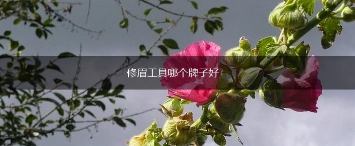 修眉工具哪个牌子好,第1张